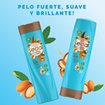 Shampoo Sedal Bomba Argán Restaura 340 Ml #5