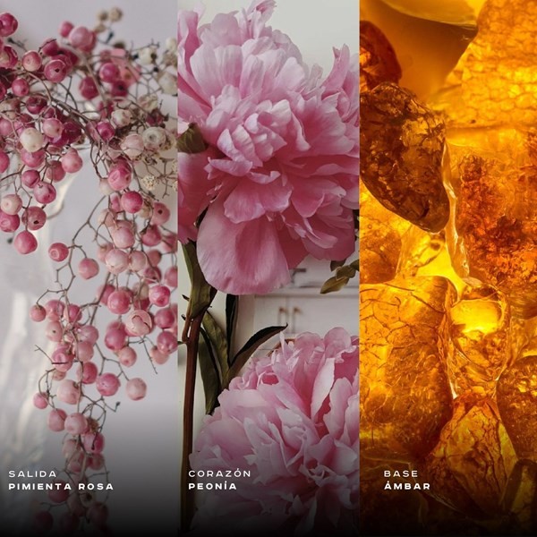 Perfume Afnan Supremacy Pink |Eau de Parfum |x 100ml  alt