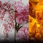 Perfume Afnan Supremacy Pink |Eau de Parfum |x 100ml  #2