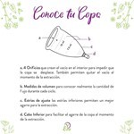 Eva Copa Copa Mestrual Eva D48 Tamaño 3 evacopa #9