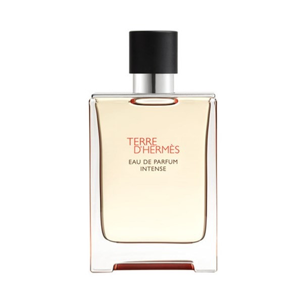 Terre D Hermes Edp Intense Presentación Fragancias 100 ml #1