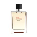Terre D Hermes Edp Intense Presentación Fragancias 100 ml #1