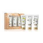 Jeanne en Provence Cofre Trio Cremas de manos Divine Olive + Jasmin Secret + Verveine  #1