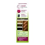 Garnier Kit Coloracion Cor Intensa 6.7 Rub Oscuro Chocolate #11