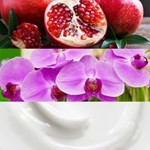 Calvin Klein Euphoria Woman Edp 50 ml #3