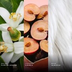 Rasasi Hawas for Men EDP 100 ml #4