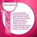 Sedal Shampoo Ceramidas 340 Ml #13