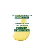 Klorane Aceite Capilar Con Protección Solar 100 ml #6
