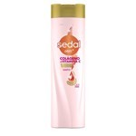 Shampoo Sedal Colageno Y Vitamina C 340 ml #2