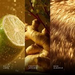 Armaf Odyssey Limoni  x100 ml #3