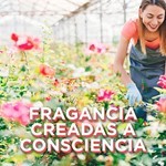 Aromatizante De Ambientes Glade Edición Limitada Frescura De Rosas En Aerosol 360ml #4