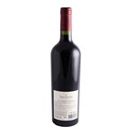 Vino Tinto San Felipe Cabernet Sauvignon 750 Cc #2