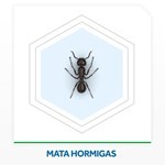 Insecticida Raid Mata Hormigas En Aerosol 360 Ml #4