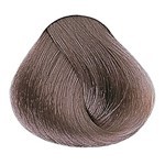 Alfaparf Milano Evolution Of The Color Kit Coloracion Color 8.21 Rubio Claro Irizado Ceniza #2