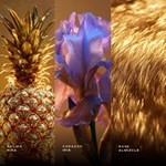 Zimaya Rabab Gems Edp Afnan  90 ml #2