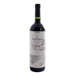 Vino Tinto Cabernet Sauvignon Saint Felicien 750 Cc #1