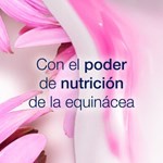 Shampoo  Dove  Ritual De Crecimiento Equinacea 400 Ml #3