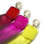 Amarillo Edp Shakira 50 ml #5