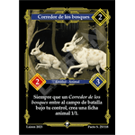 025 Corredor De Los Bosques 1ra Edicion - Coste 2 #1