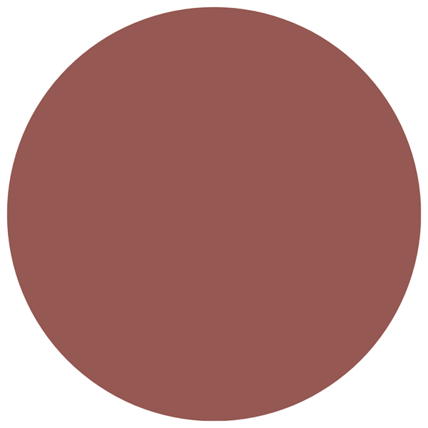 Labial Líquido SuperStay Vinyl Ink Tono Punchy Maybelline alt