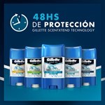 Gillette Antitranspirante en Gel Sport Triumph Clear 82 gr #9