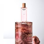 Loewe Agua Ella Edt Presentación 100 ml #4