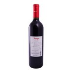 Vino Tinto Nampe Malbec 750 Ml #2