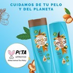 Shampoo Sedal Bomba Argán Restaura 340 Ml #4