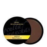 Artez Westerley Base Oculta Manchas 049 Nogal #1