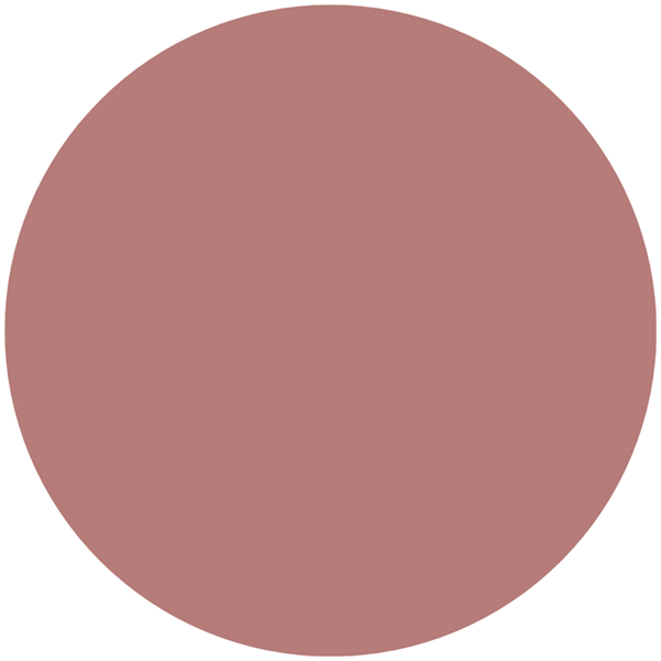 Labial Liquido Ultra Matte Creamy Tono Rose IDI Make Up alt