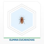 Insecticida Raid Exterminador Cucarachas En Aerosol 390cc #5