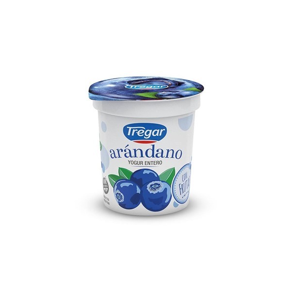 Yog Ent C/frutas Arandano Tregar 160g