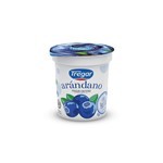 Yog Ent C/frutas Arandano Tregar 160g #1