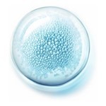 Vichy Serum Mineral 89 Probiotics Fractions 30 ml #7