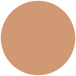 Loreal Paris Polvo Compacto Infaillible 24 Hs Fresh Wear 220 Sand #7