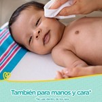 Pampers Toallas Humedas Recien Nacido 48 Unidades #4