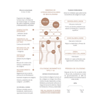 Serum Facial Y Contorno de Ojos Bek Triple Bio Collagen 30 ml #5