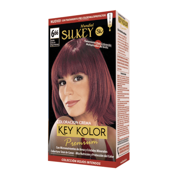 Silkey Key Color Premium 6.66 #1