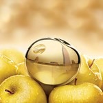 Donna Karan Golden Delicious Edp Presentación 100 ml #3