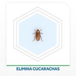 Insecticida Jeringas Cucarachicidas Raid 3 Gr #5