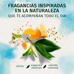 Herbal Essences Crema Para Peinar Argan Morocco 300 ml #3