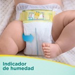 Pampers 20 Unidades | Rn #4