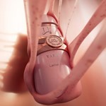 Lattafa Yara Elixir Edp T100 ml #5