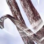 Lancome La Vie Est Belle Iris Absolu 100 ml #7