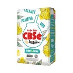 Yerba Mate Cbse Jengibre X500 #1