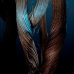 Rabanne Phantom Parfum Recargable Presentación 150 ml #5