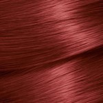 Garnier Nutrisse Kit De Coloracion 66 Granada | 66 Granada #3