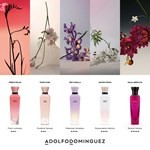 Adolfo Domínguez Dalia Absoluta Elixir 100 ml | Intenso y de larga duración #9