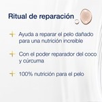 Acondicionador Dove Ritual De Reparación Coco Y Cúrcuma 400 Ml #7